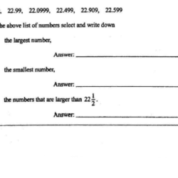 Bsg comprehensive exam answers 2023