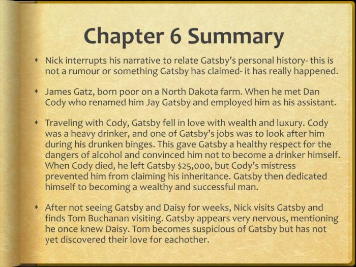 Chapter 6 the great gatsby questions