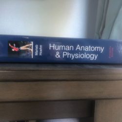 Human anatomy and physiology 11th edition marieb & hoehn